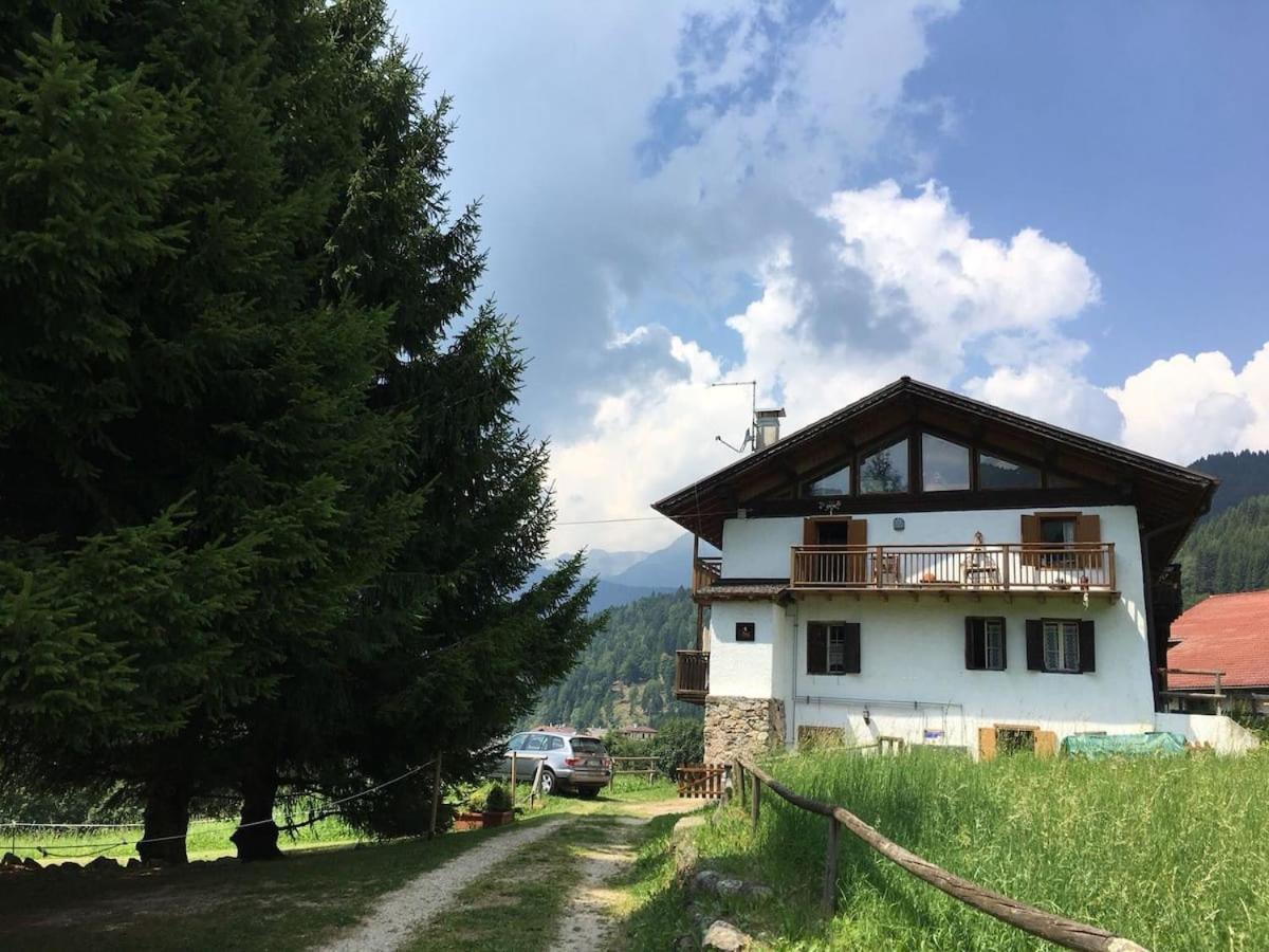 CASA BERNARD nel cuore verde del Trentino Canal San Bovo Esterno foto