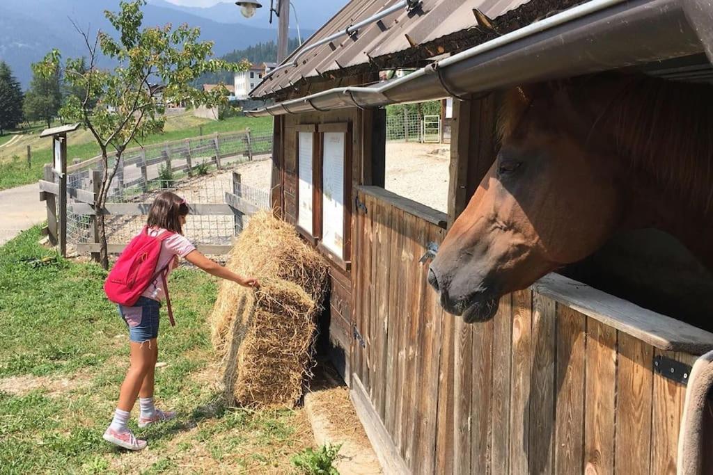 CASA BERNARD nel cuore verde del Trentino Canal San Bovo Esterno foto