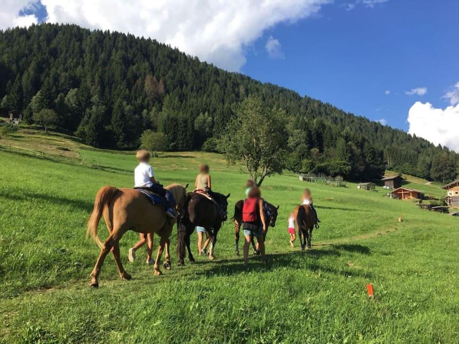CASA BERNARD nel cuore verde del Trentino Canal San Bovo Esterno foto
